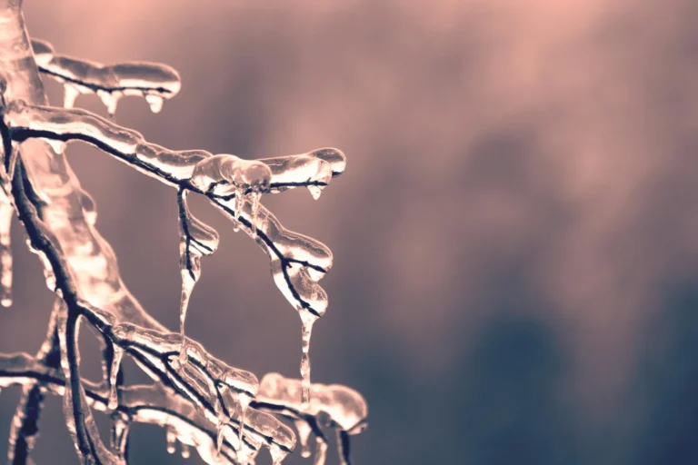 Article 1 Winterize