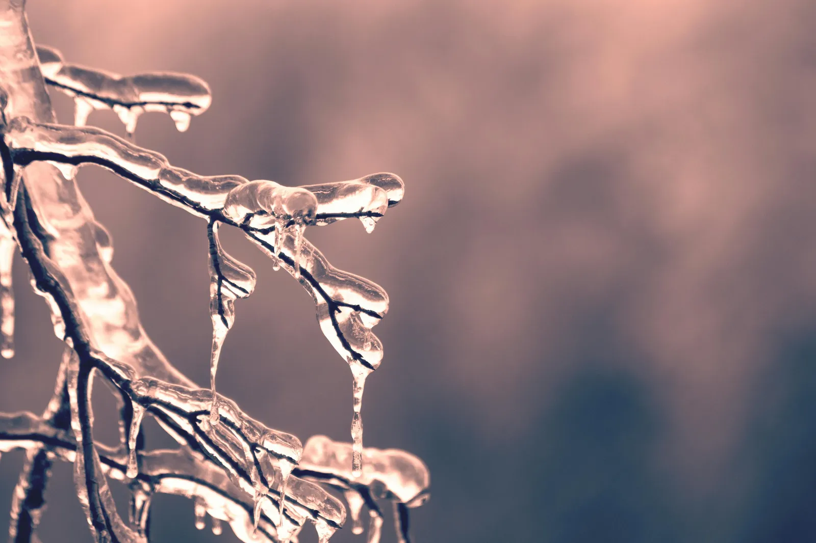 Article 1 Winterize