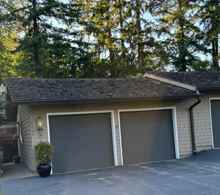 Roof Inspection
