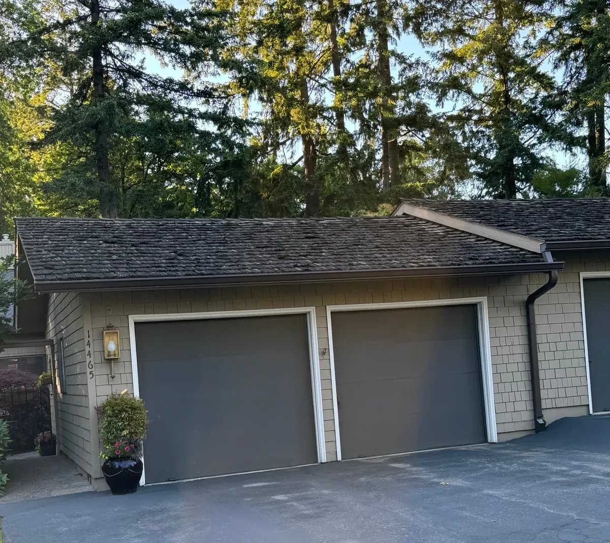 Roof Inspection